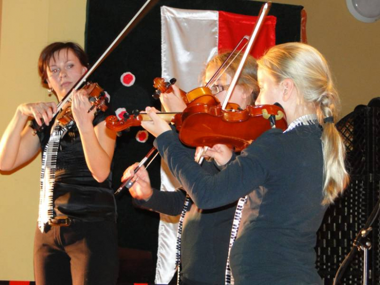 Sztuka to sztuka - pokaz artystyczny w Środzie Śląskiej