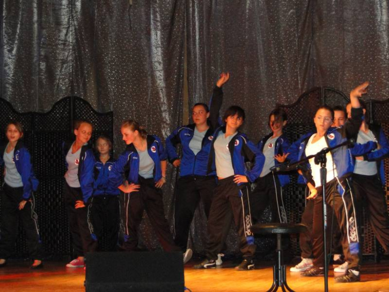 Sztuka to sztuka - pokaz artystyczny w Środzie Śląskiej