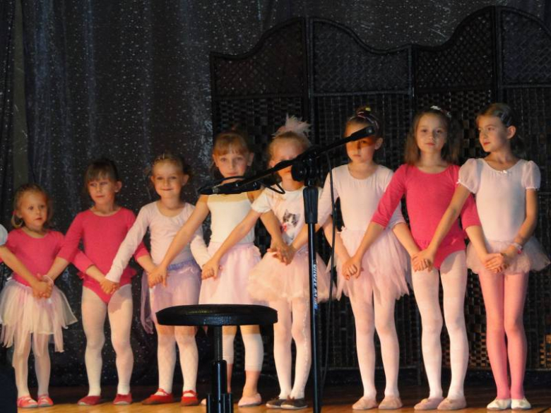 Sztuka to sztuka - pokaz artystyczny w Środzie Śląskiej