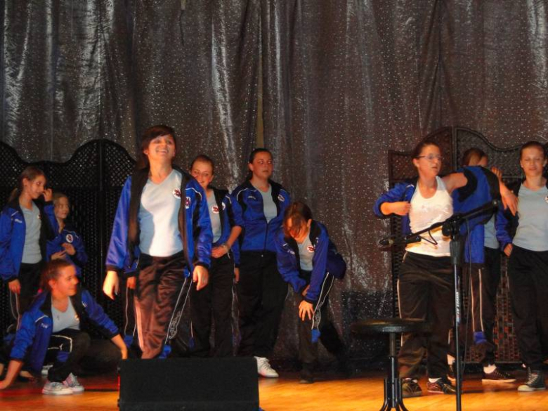 Sztuka to sztuka - pokaz artystyczny w Środzie Śląskiej