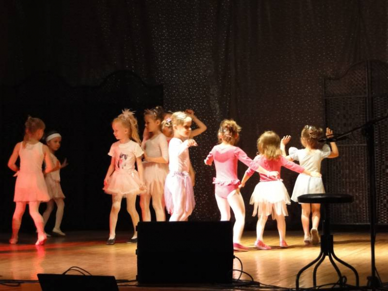 Sztuka to sztuka - pokaz artystyczny w Środzie Śląskiej