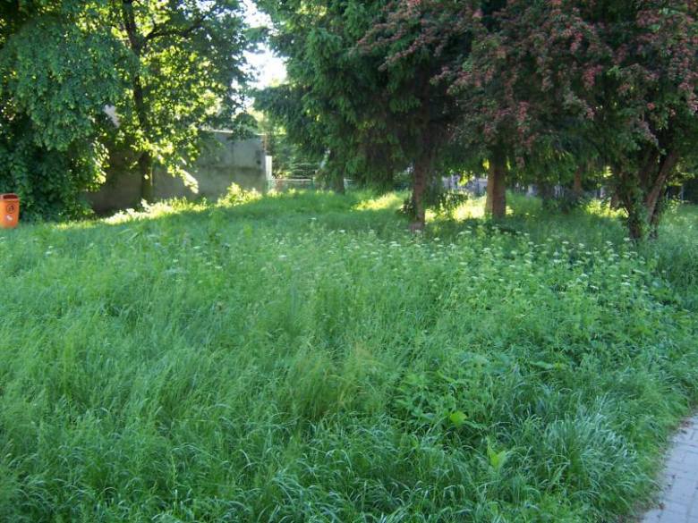 Miejsca zielone w Ząbkowicach