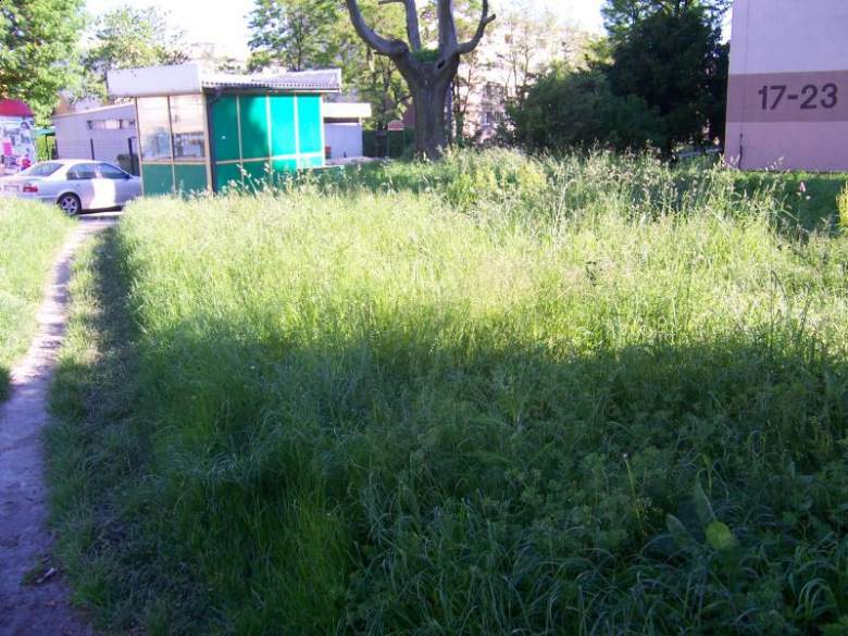 Miejsca zielone w Ząbkowicach