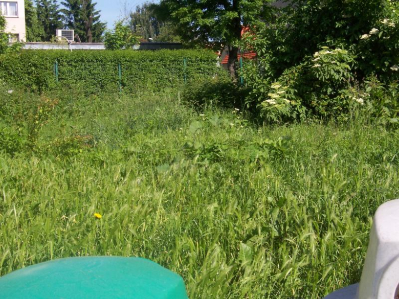 Miejsca zielone w Ząbkowicach