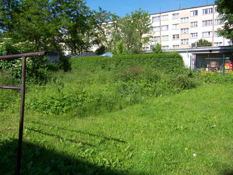 Miejsca zielone w Ząbkowicach