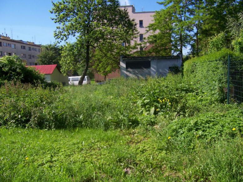 Miejsca zielone w Ząbkowicach