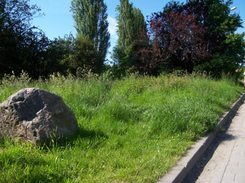 Miejsca zielone w Ząbkowicach