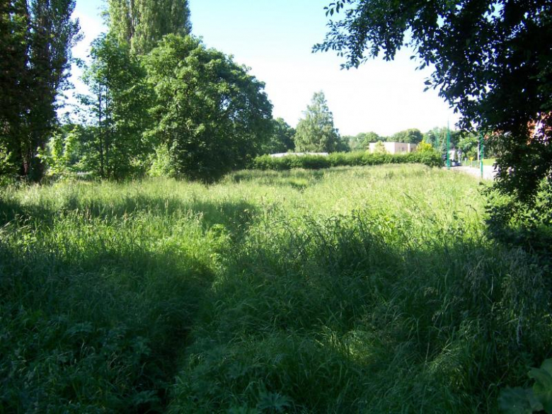 Miejsca zielone w Ząbkowicach