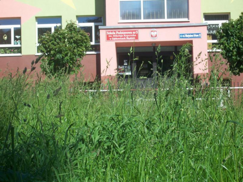 Miejsca zielone w Ząbkowicach