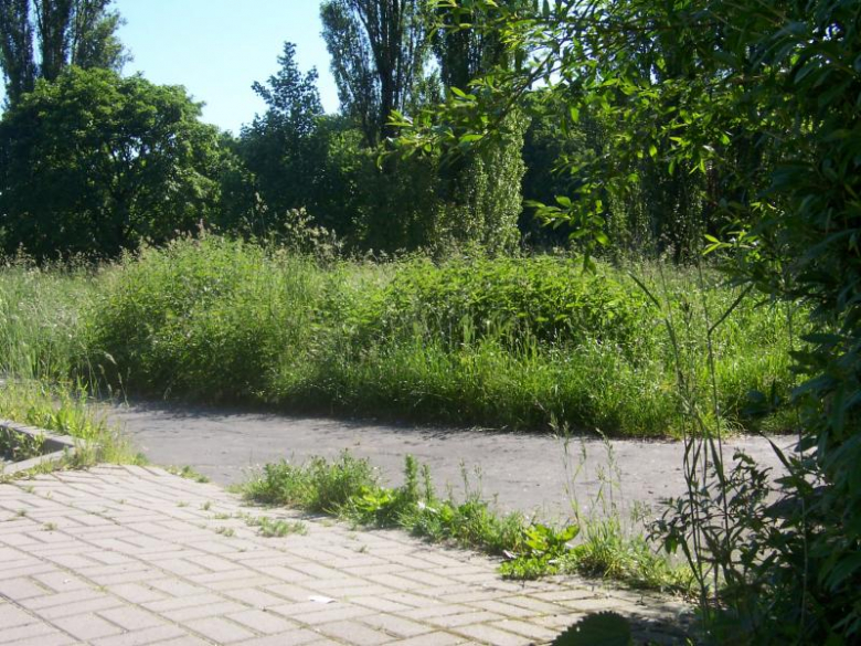 Miejsca zielone w Ząbkowicach