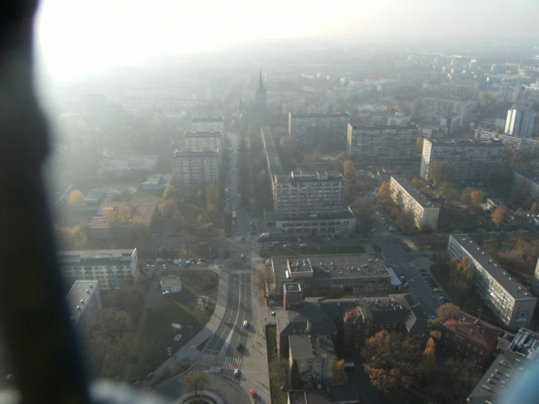 SkyTower - czy nas z niego widać?