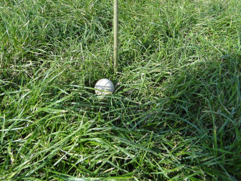 Finał Turnieju Radnych - Udanin 2011