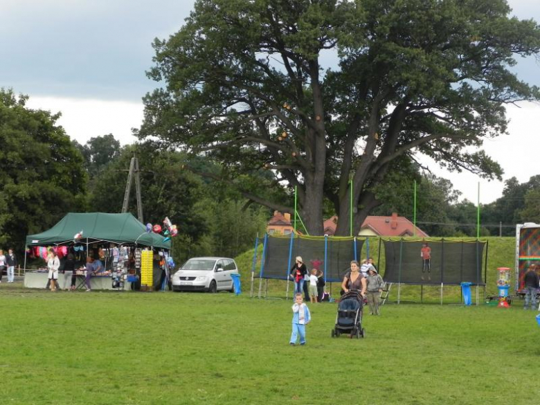 Festiwal Lata Miękinia 2010