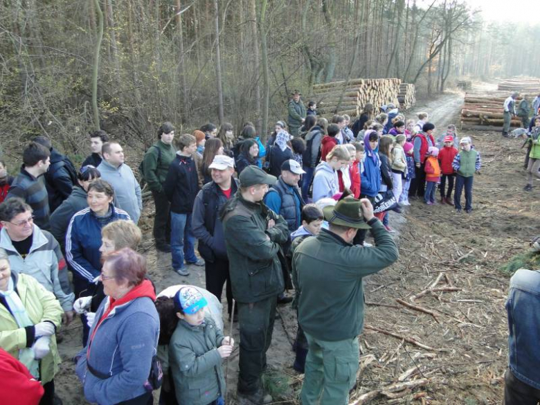 Sadzenie lasu na terenie Leśnictwa Mrozów - kwiecień 2012