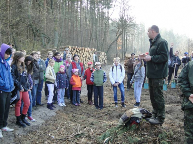Sadzenie lasu na terenie Leśnictwa Mrozów - kwiecień 2012