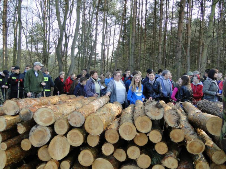 Sadzenie lasu na terenie Leśnictwa Mrozów - kwiecień 2012