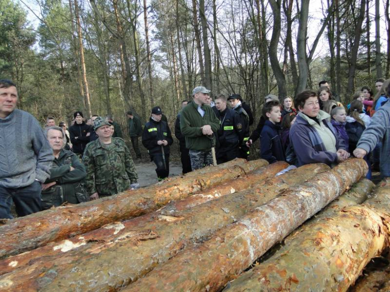Sadzenie lasu na terenie Leśnictwa Mrozów - kwiecień 2012