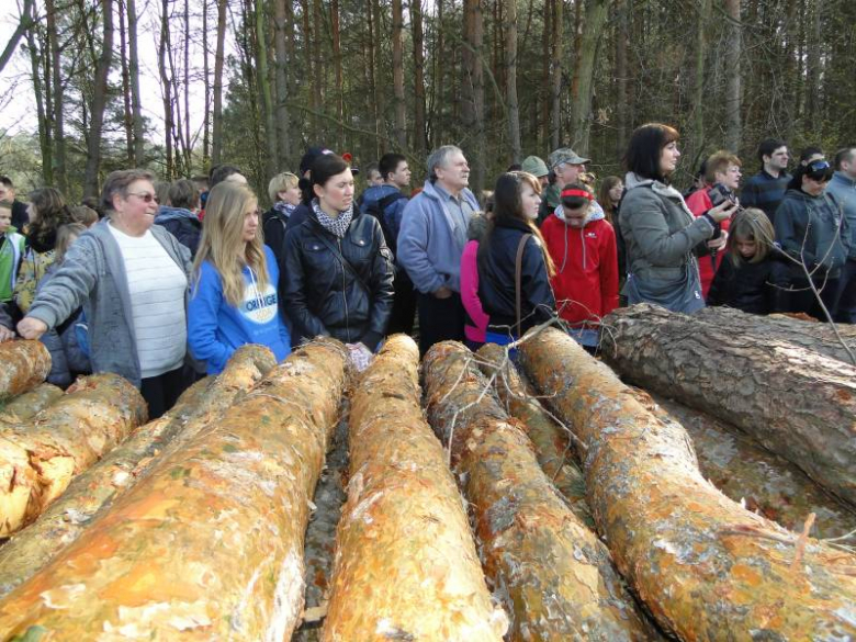 Sadzenie lasu na terenie Leśnictwa Mrozów - kwiecień 2012