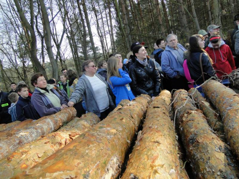 Sadzenie lasu na terenie Leśnictwa Mrozów - kwiecień 2012