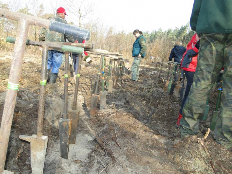 Sadzenie lasu na terenie Leśnictwa Mrozów - kwiecień 2012