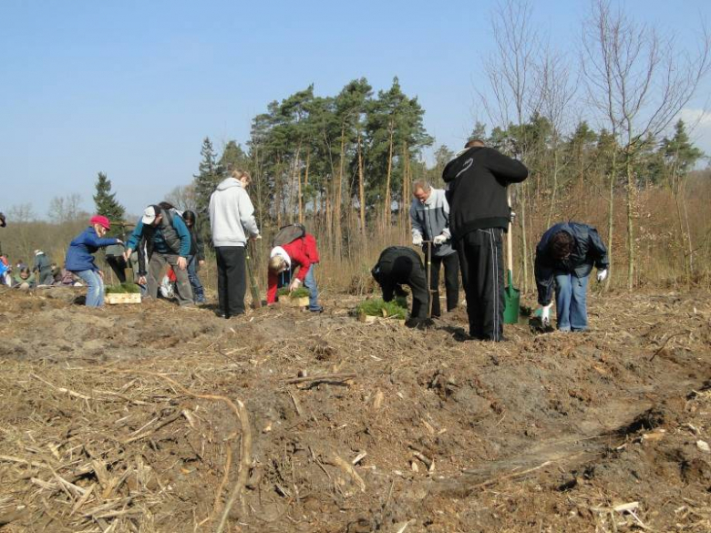 Sadzenie lasu na terenie Leśnictwa Mrozów - kwiecień 2012