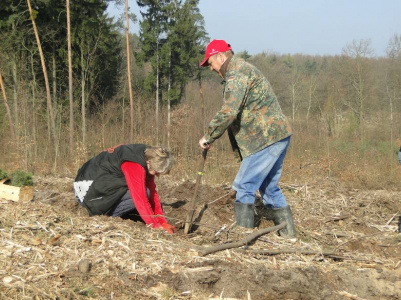 Sadzenie lasu na terenie Leśnictwa Mrozów - kwiecień 2012