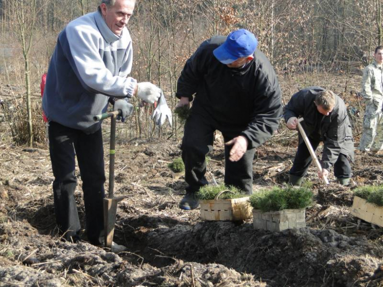 Sadzenie lasu na terenie Leśnictwa Mrozów - kwiecień 2012