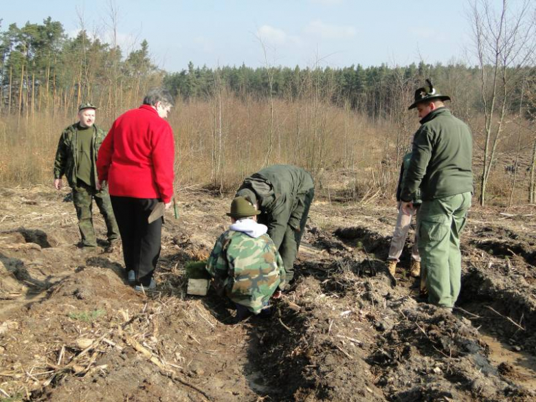 Sadzenie lasu na terenie Leśnictwa Mrozów - kwiecień 2012