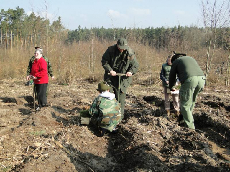 Sadzenie lasu na terenie Leśnictwa Mrozów - kwiecień 2012