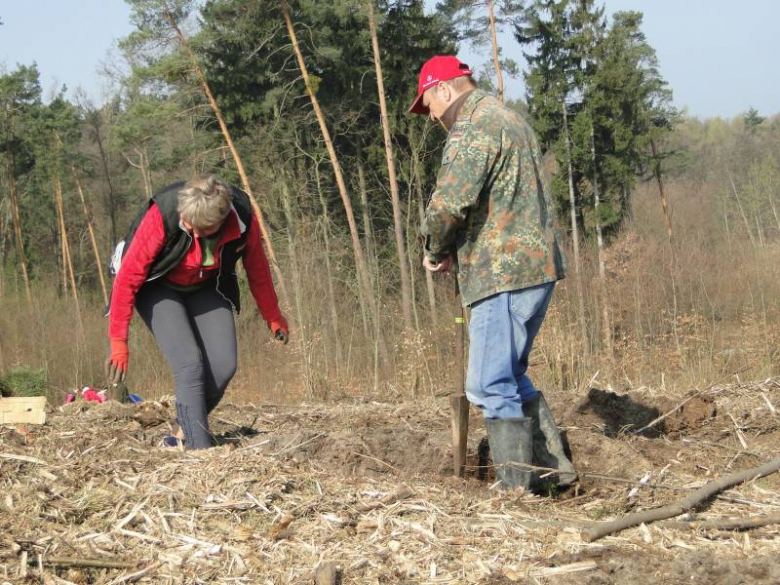 Sadzenie lasu na terenie Leśnictwa Mrozów - kwiecień 2012
