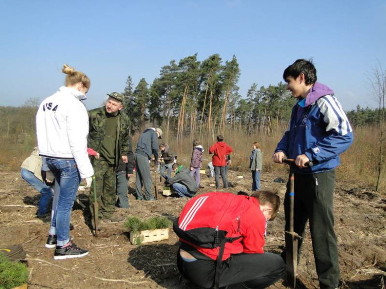 Sadzenie lasu na terenie Leśnictwa Mrozów - kwiecień 2012