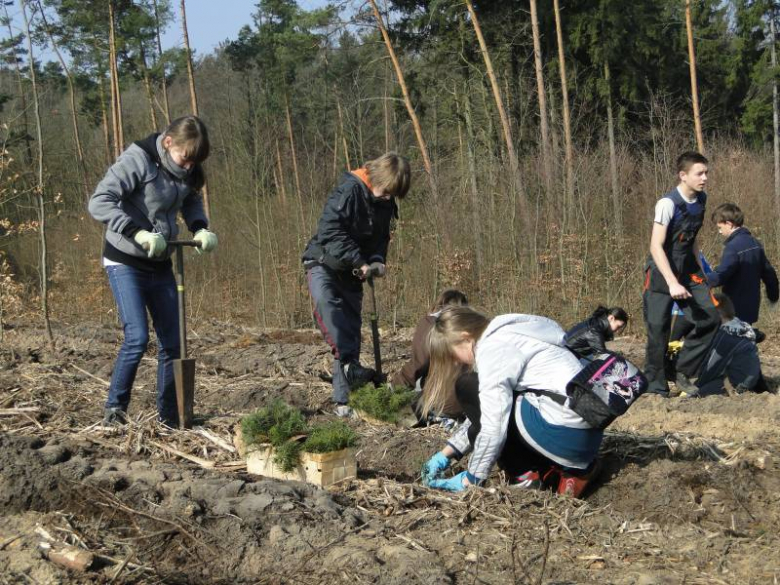 Sadzenie lasu na terenie Leśnictwa Mrozów - kwiecień 2012