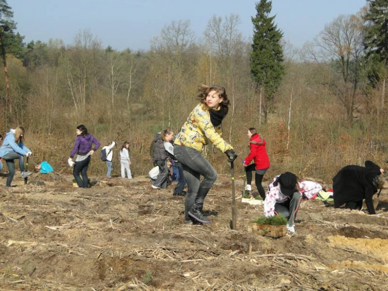 Sadzenie lasu na terenie Leśnictwa Mrozów - kwiecień 2012