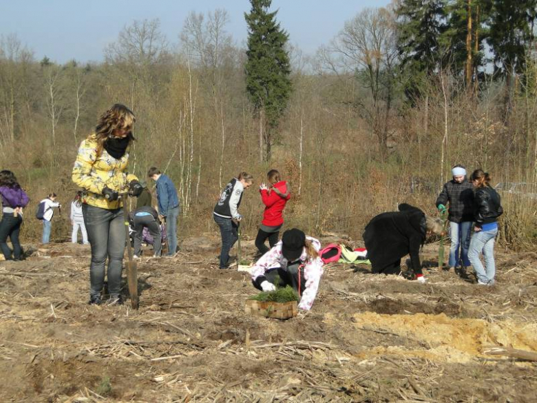 Sadzenie lasu na terenie Leśnictwa Mrozów - kwiecień 2012