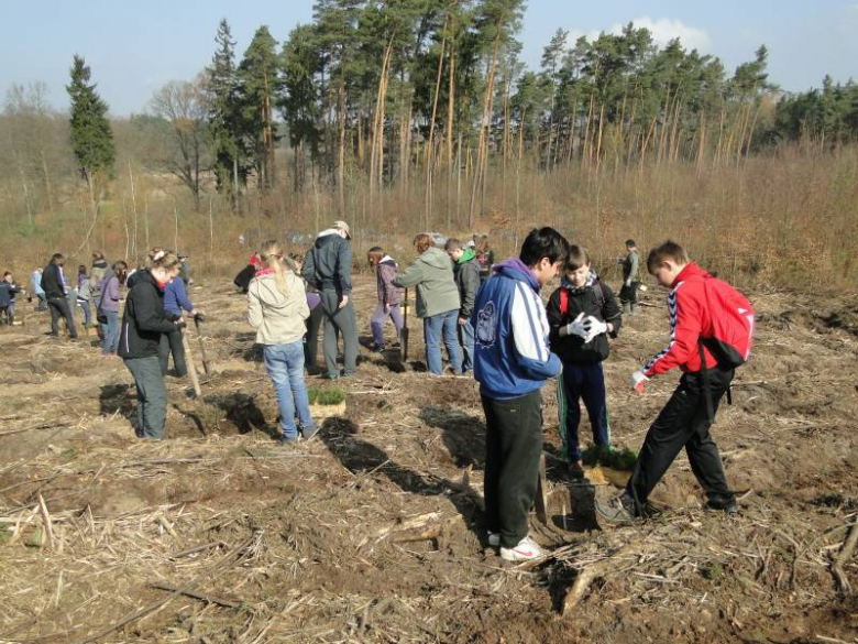 Sadzenie lasu na terenie Leśnictwa Mrozów - kwiecień 2012