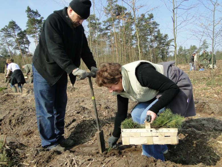 Sadzenie lasu na terenie Leśnictwa Mrozów - kwiecień 2012