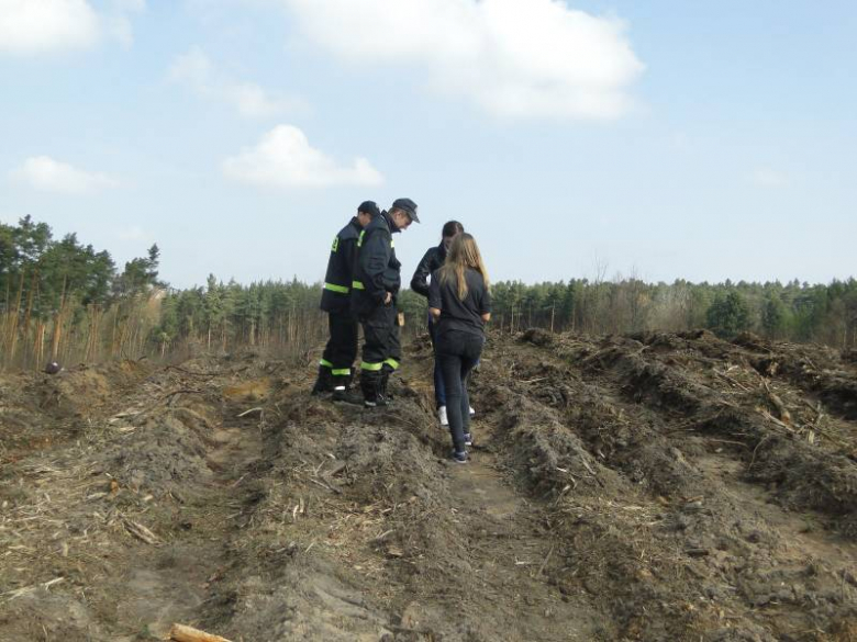 Sadzenie lasu na terenie Leśnictwa Mrozów - kwiecień 2012