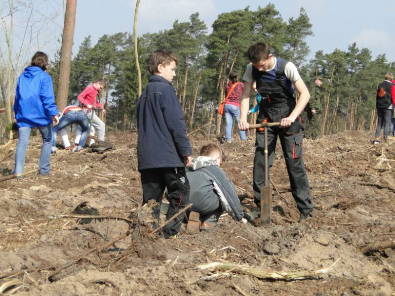 Sadzenie lasu na terenie Leśnictwa Mrozów - kwiecień 2012