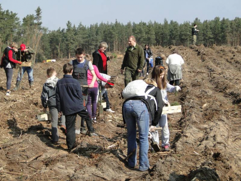 Sadzenie lasu na terenie Leśnictwa Mrozów - kwiecień 2012