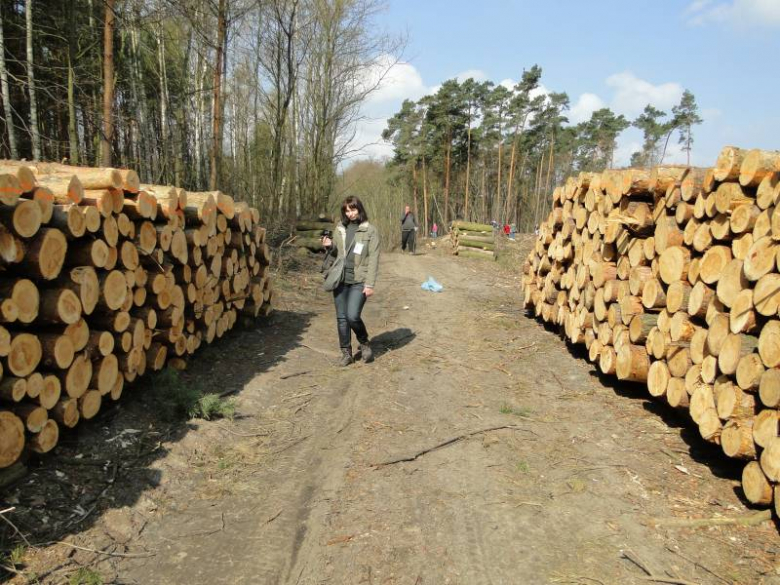 Sadzenie lasu na terenie Leśnictwa Mrozów - kwiecień 2012