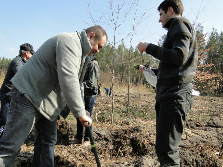 Sadzenie lasu na terenie Leśnictwa Mrozów - kwiecień 2012