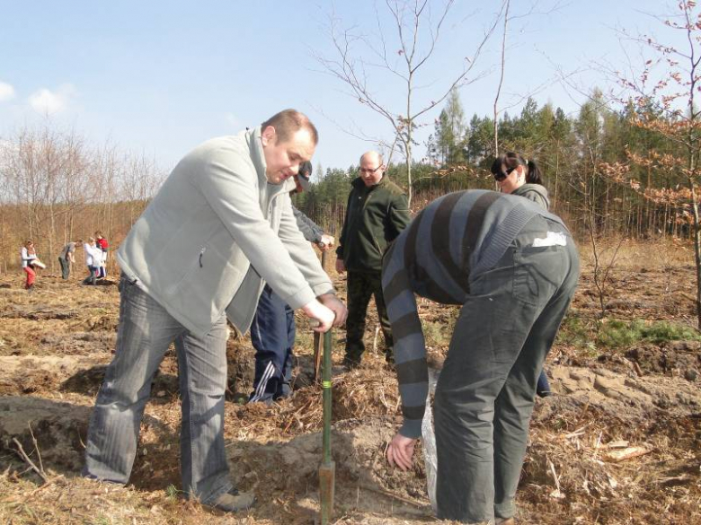Sadzenie lasu na terenie Leśnictwa Mrozów - kwiecień 2012
