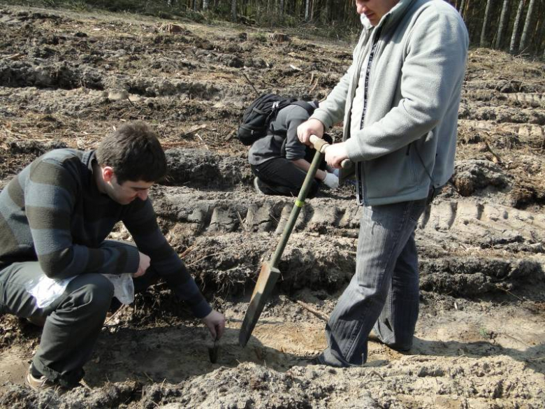 Sadzenie lasu na terenie Leśnictwa Mrozów - kwiecień 2012