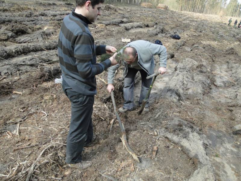 Sadzenie lasu na terenie Leśnictwa Mrozów - kwiecień 2012