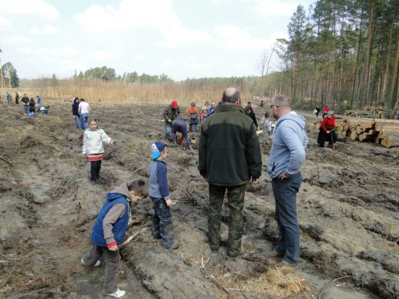 Sadzenie lasu na terenie Leśnictwa Mrozów - kwiecień 2012