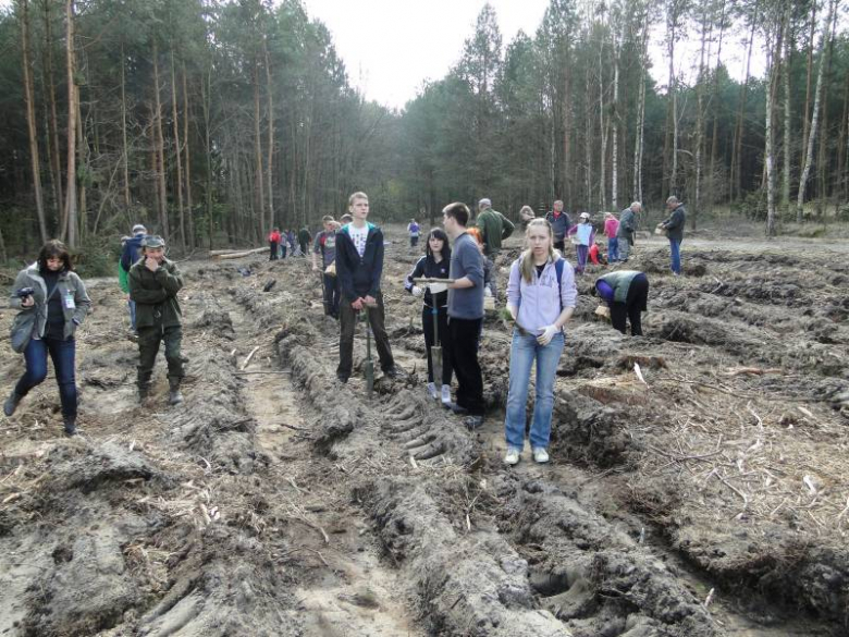 Sadzenie lasu na terenie Leśnictwa Mrozów - kwiecień 2012