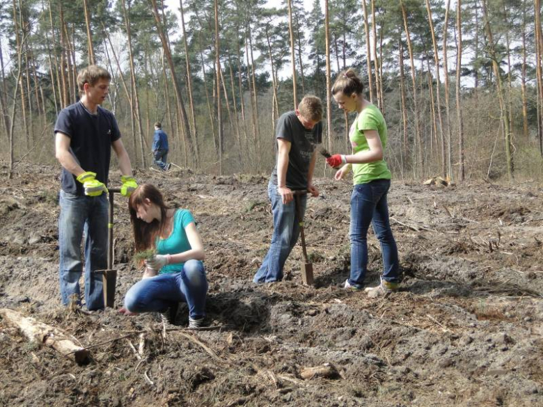 Sadzenie lasu na terenie Leśnictwa Mrozów - kwiecień 2012