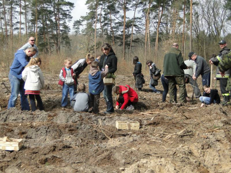 Sadzenie lasu na terenie Leśnictwa Mrozów - kwiecień 2012