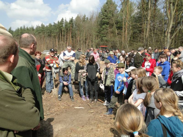 Sadzenie lasu na terenie Leśnictwa Mrozów - kwiecień 2012