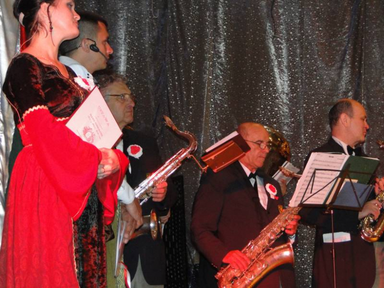 3 maja 2011 w Środzie Śląskiej